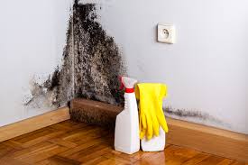 Best Emergency Mold Remediation  in Foley, AL